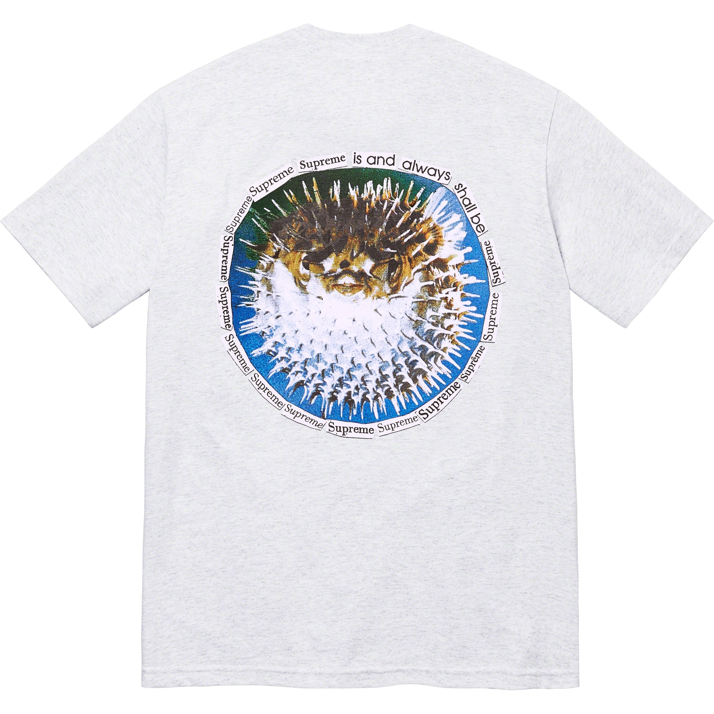 Blowfish Tee view 12